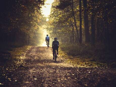 CIRCUIT VTT N°86 DE LA PLAGE DES AMÉRICAINS À LA MICHOTTE