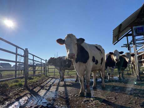 Gaec le ruisseaux des ecrevisses