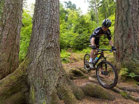 CIRCUIT VTT N° 95 VIEUX SAINT-LAURENT