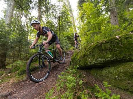 CIRCUIT VTT N° 92 LES 13 CANTONS