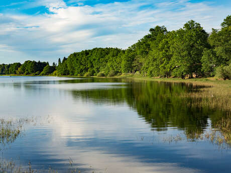 Tourbiere et l'étang de la Comtesse