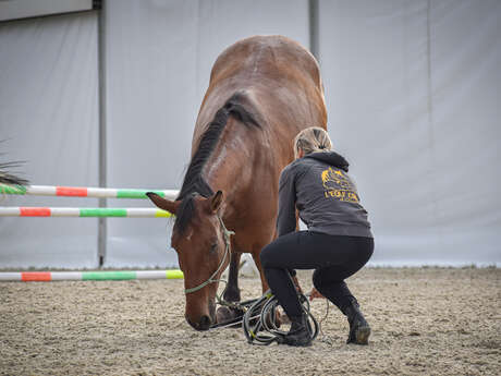 CENTRE EQUESTRE L'EQU'CRIN D'OLIMA