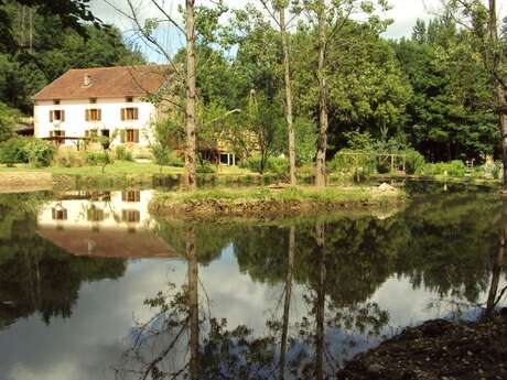 CHAMBRES D'HÔTES LA CHARMANTE - RASEY