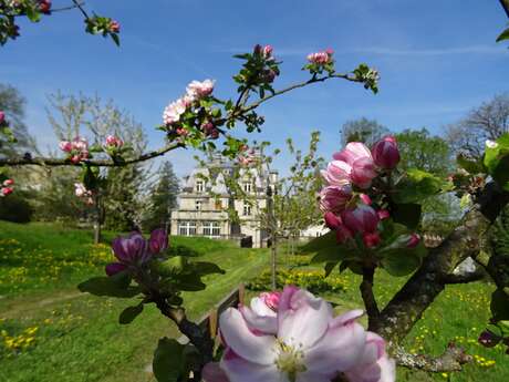 Château des Brasseurs