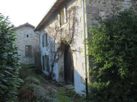Meublé la forêt - Mme Sauvageot