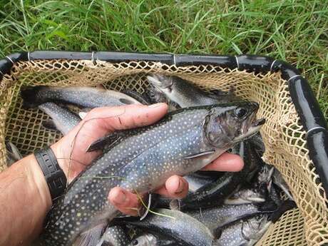 Pisciculture du Buisson