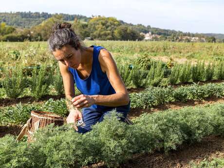 La ferme de la 5ème saveur