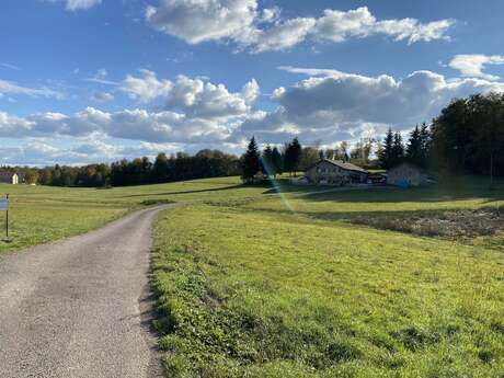 Auberge Maison Carmen