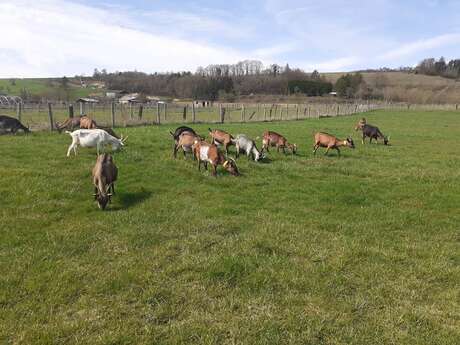 La ferme du P'tit Ban-Houé