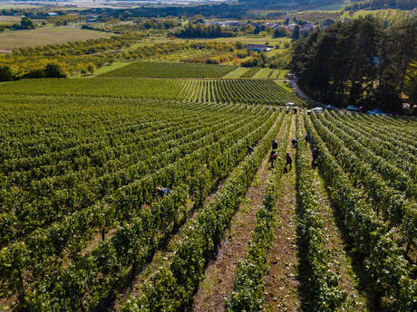 Domaine de l'Aumonière
