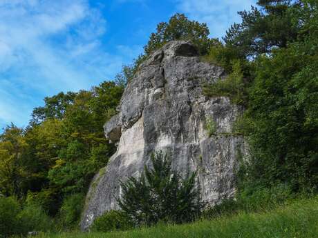 DAMES DE MEUSE