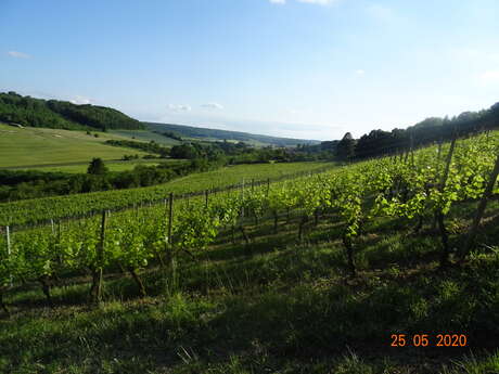 Domaine de Meussaumont