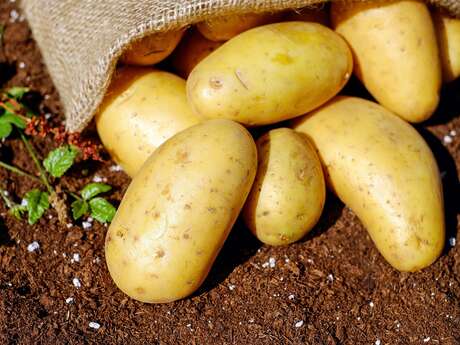 Earl de la ferme Hirps