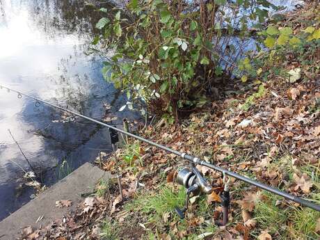 Domaine de Kiesbruck