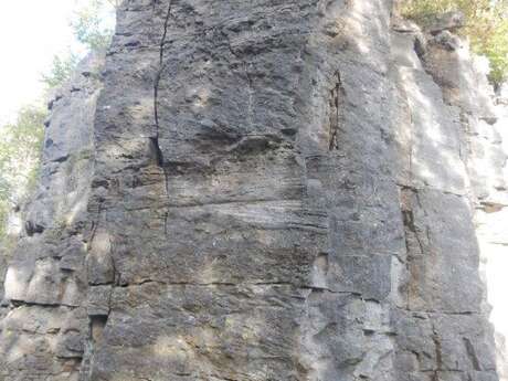 Falaise à audun-le-tiche (site d'escalade)