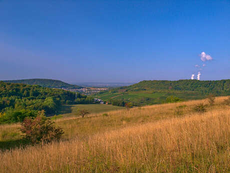 RÉSERVE NATURELLE DE HAMMELSBERG