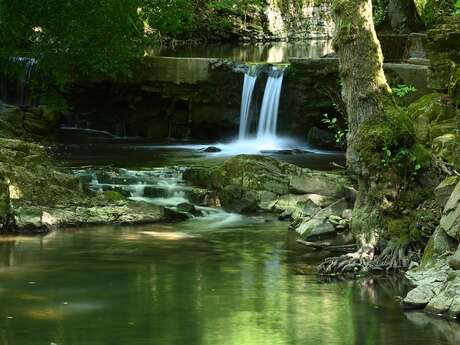 Sierck-les-Bains quartzite outcrop
