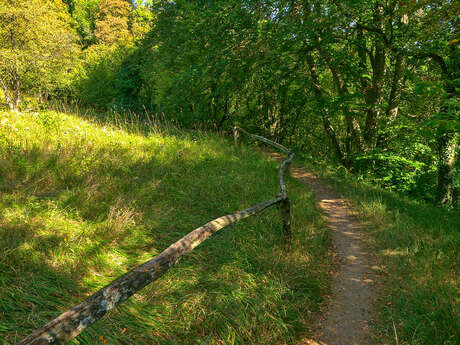 RÉSERVE NATURELLE NATIONALE DE MONTENACH