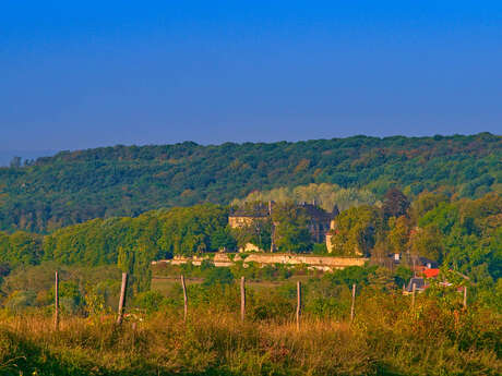 CHATEAU DE HOMBOURG-BUDANGE