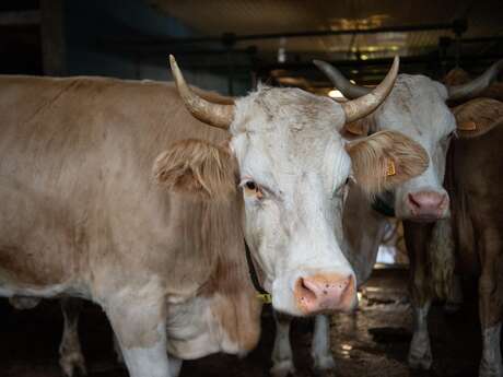 Ferme du petit moulin