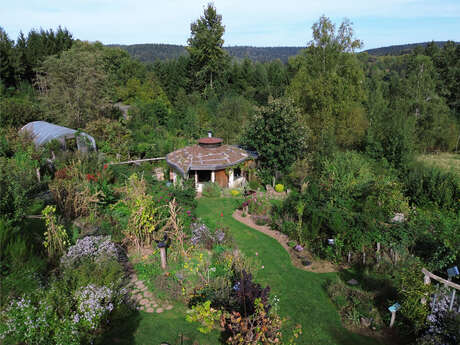 JARDIN "UNE FIGUE DANS LE POIRIER"