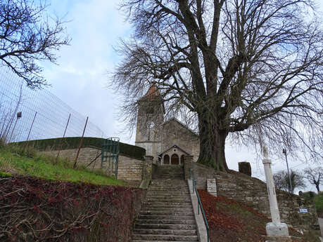 EGLISE SAINT-VINCENT - AOUZE