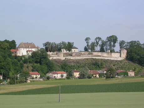 SITE CASTRAL D'HARCHECHAMP