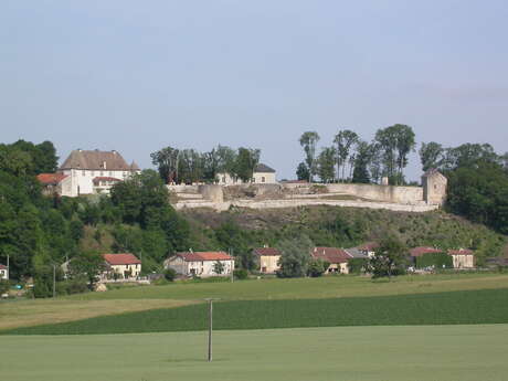 Site castral d'Harchéchamp