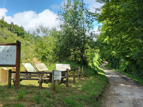 SENTIER DE LA COMBE DES ENFANTS