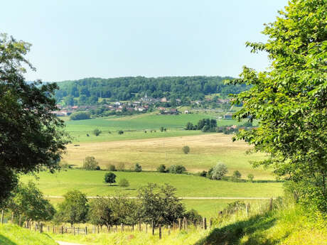 Circuit de la Madone