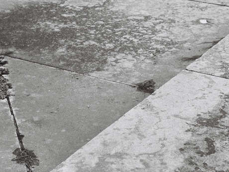 EXPOSITION PHOTOGRAPHIQUE « 14C »