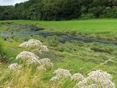 Circuit de Bazoilles-sur-Meuse