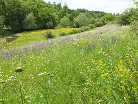 Balade ludique randoland