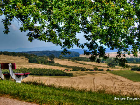 Circuit de Notre-Dame