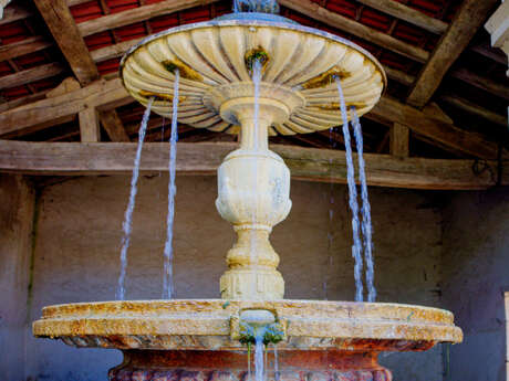 Circuit de la croix blanche