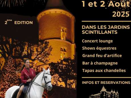 Le château de Bourlémont s’illumine de 1000 feux