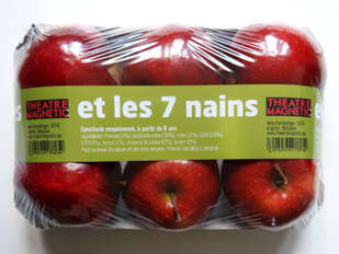 Théâtre magnétique : 3 petits cochons et les 7 nains