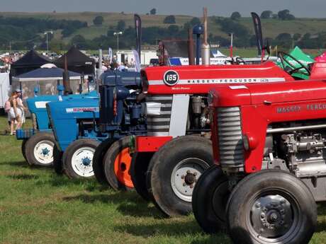 Foire commerciale et agricole
