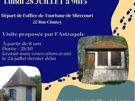 Découvrez les petites maisons du lundi, la vie et le passé du luthier
