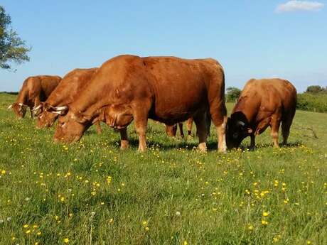 FERME DES MURATS