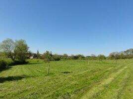 Vergers conservatoires et pédagogiques