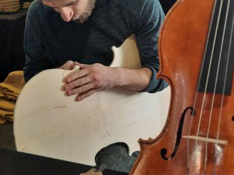 Luthier William Scotto di Appolonia