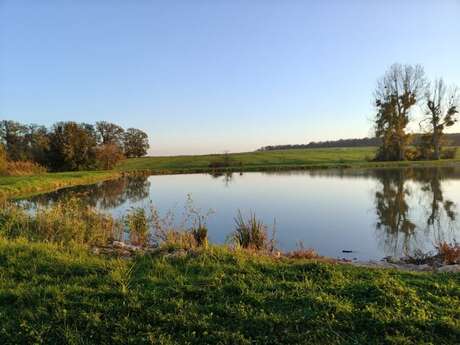 Étang de la grâce - pêche