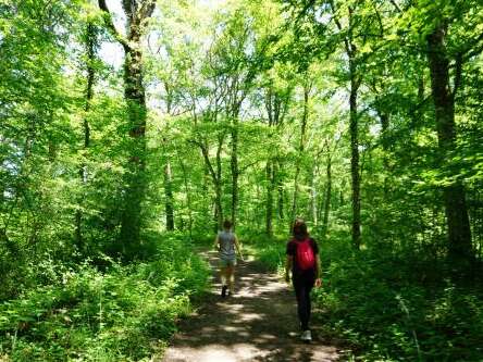 Sentier du bois du Malaumont