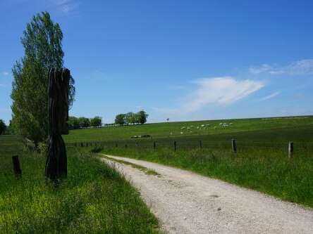 SENTIER DU MENU BOIS