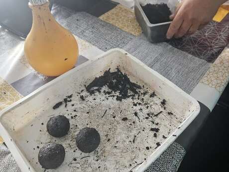 Atelier - Fabrication de bombes à graines