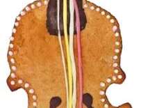 Atelier cuisine - Musique et gourmandise