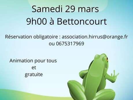 Ramassage des amphibiens