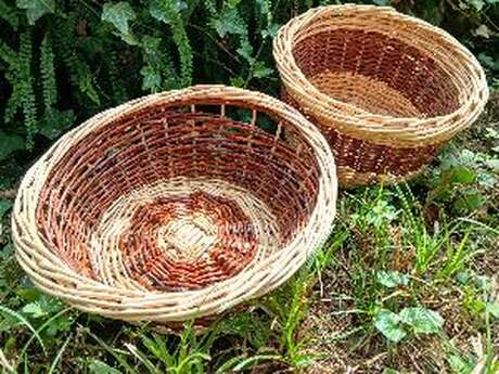 Rencontres autour du Saule - Stage Vannerie Corbeille avec ou sans passe doigts