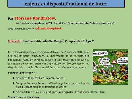 Les mercredis de l’environnement - Conférence sur le frelon asiatique